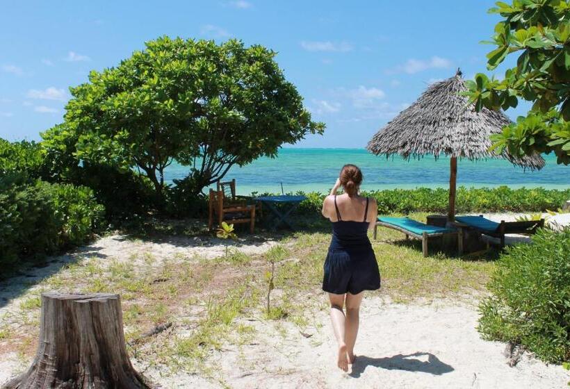 חדר סטנדרט נוף לים, Driftwood Beach Lodge