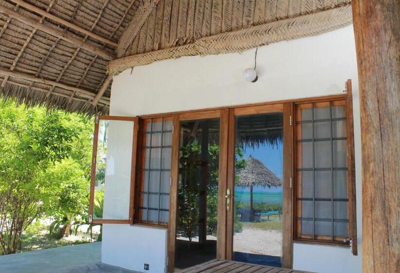 חדר סטנדרט נוף לים, Driftwood Beach Lodge