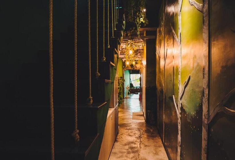 تختخواب در اتاق مشترک, Kenting Original Hostel