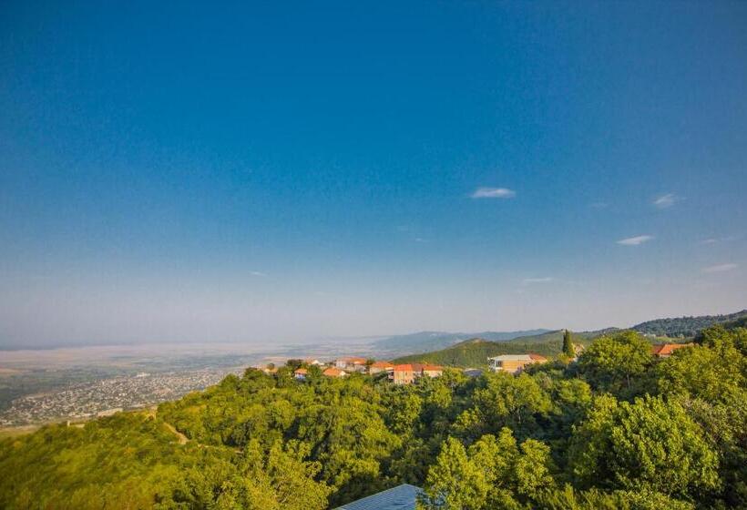 اتاق لوکس با بالکن, Boutique Hotel Bellevue