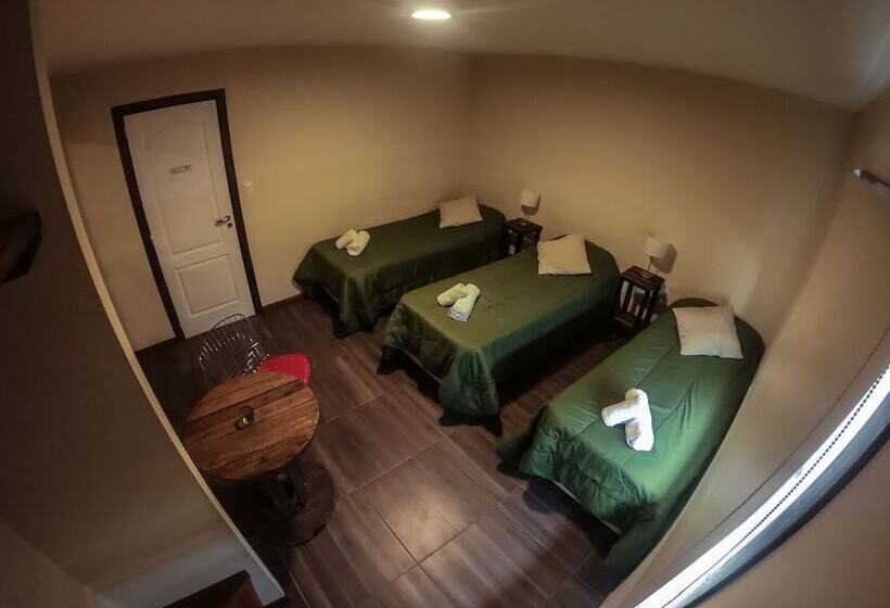 اتاق لوکس سه تخته, Folk Hostel