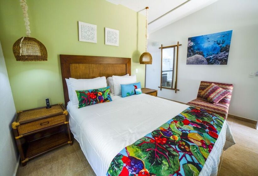 주니어 스위트, Solare Sai Eco