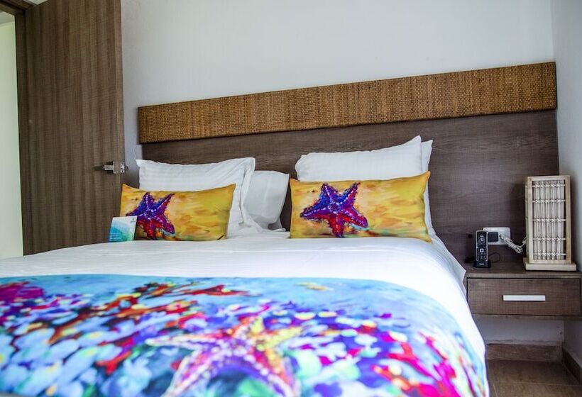 주니어 스위트, Solare Sai Eco