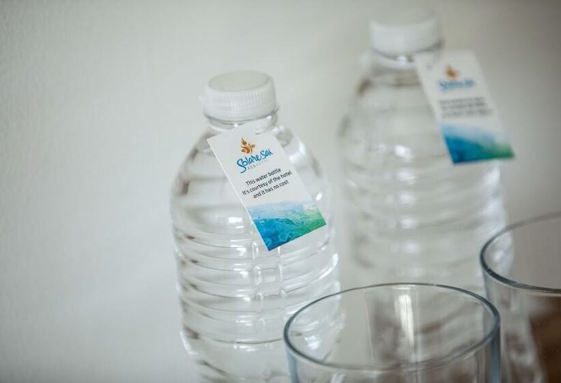 주니어 스위트, Solare Sai Eco