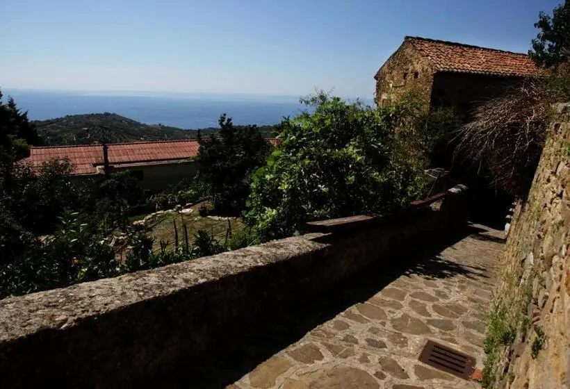 テラス付きスタンダードワンルーム, Cilento Coast, Palazzo Pisani Pollica  Salerno Campania Italy