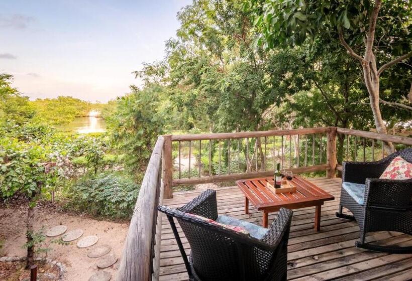 テラス付スタンダードルーム, Playa Manglares Isla Baru