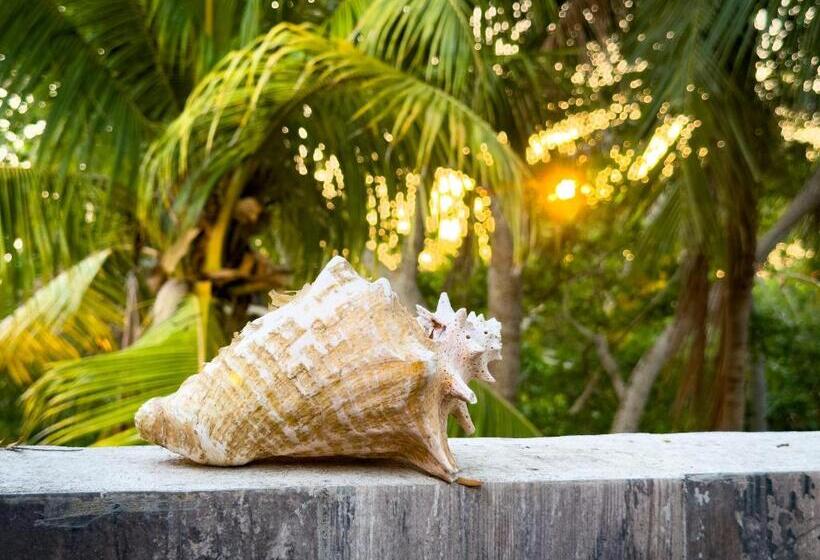 غرفة قياسية رباعية مطلة على البحر, Playa Manglares Isla Baru