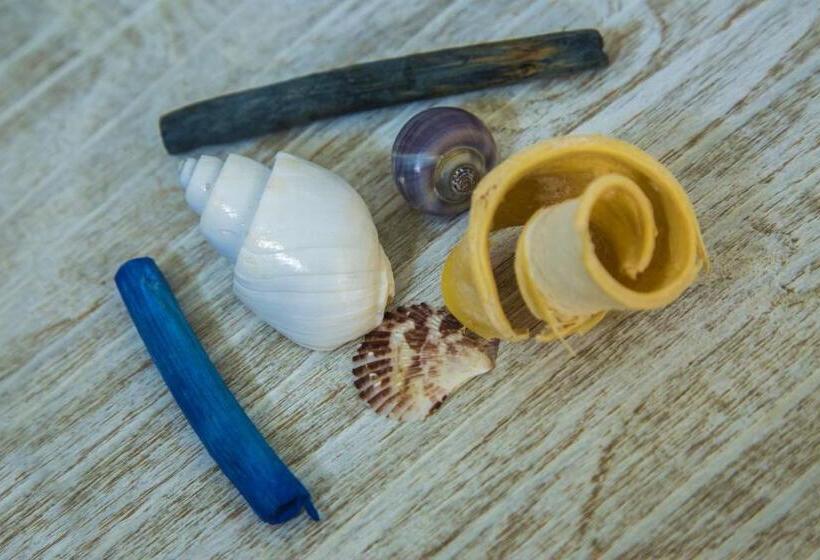 غرفة قياسية, Soffio D'estate