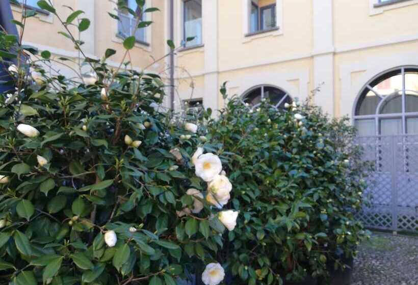 Номер Стандарт, Lisander B&b