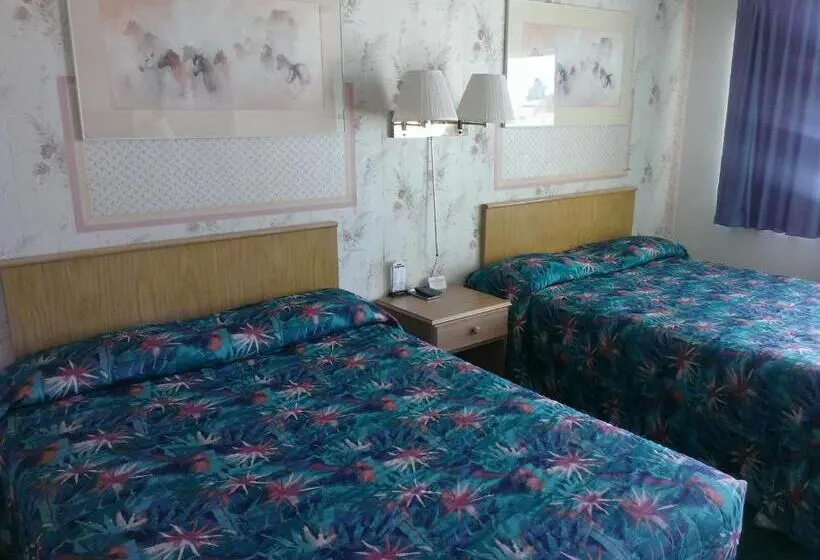 Standard-huone, Motel 8 Willcox