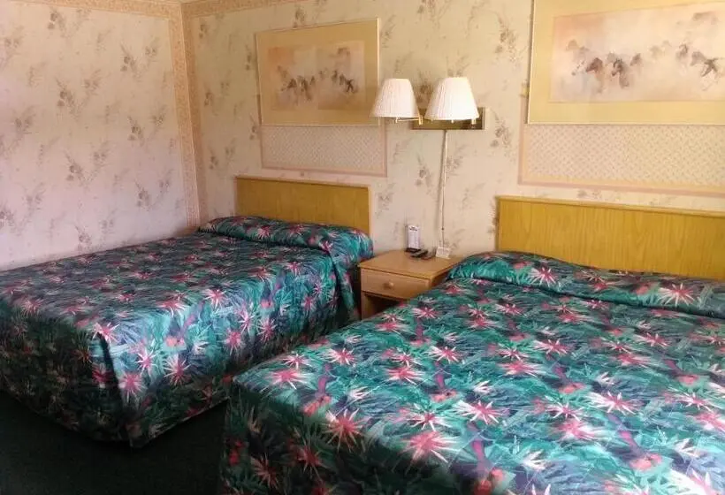 Standard-huone, Motel 8 Willcox