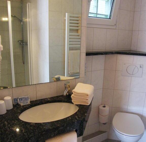 Номер Стандарт Трехместный, Pension Hofmann Schmölzer