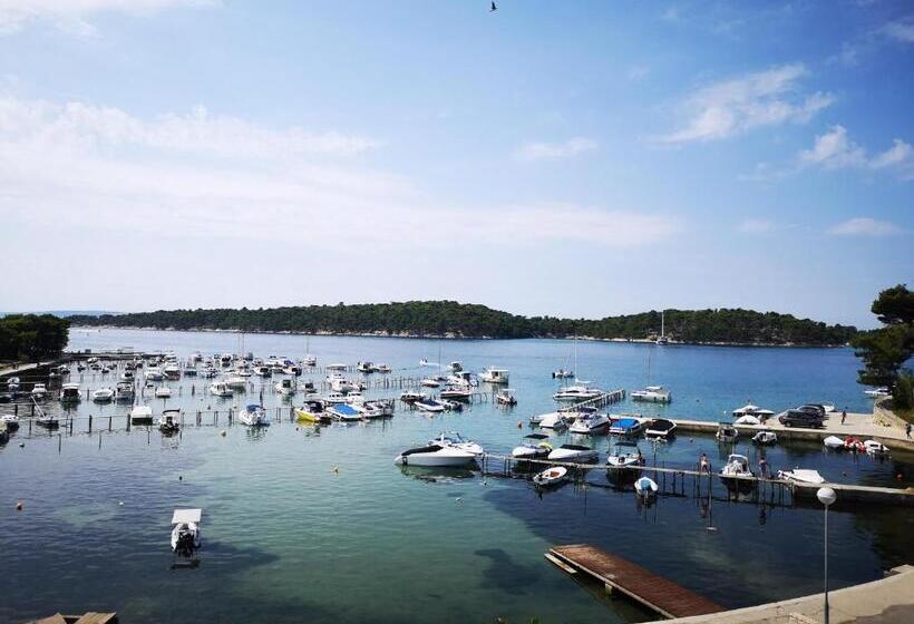 房顶倾斜的标准房间, Villa Tamaris