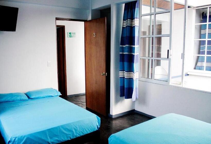 اتاق استاندارد با 2 تخت دوبل, Hostal Azul Y Blanco