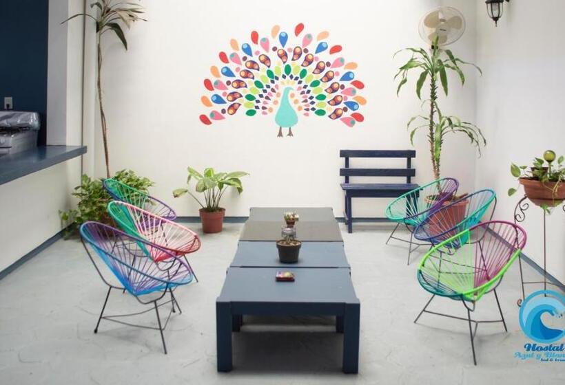 اتاق خانوادگی, Hostal Azul Y Blanco