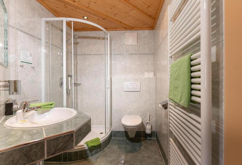 חדר סטנדרט יחיד, Eisbacherhof