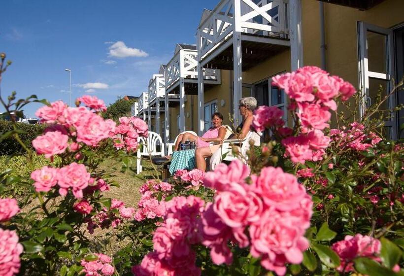 Стандартный Номер Нижний Этаж, Hvalpsund Færgekro