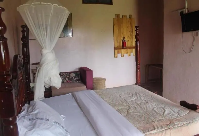 اتاق استاندارد یک نفره, Gorilla African Guest House
