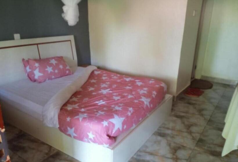 اتاق اکونومی یک تخته, Gorilla African Guest House