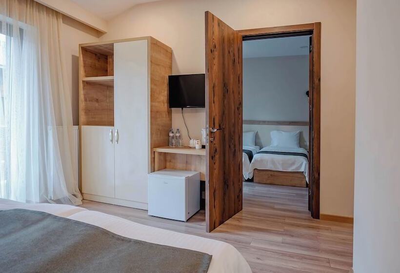 اتاق خانوادگی, Gudauri Inn