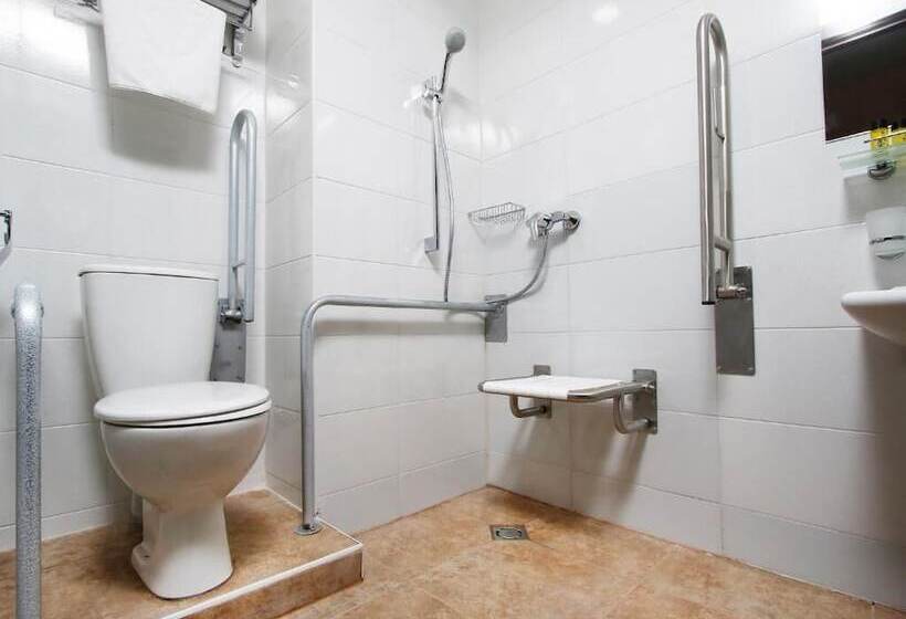 اتاق استاندارد برای معلولان, Gudauri Inn