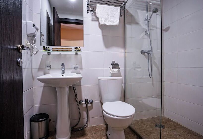 اتاق استاندارد برای معلولان, Gudauri Inn