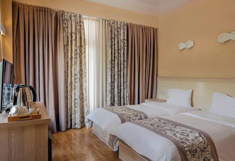 اتاق استاندارد برای معلولان, Gudauri Inn