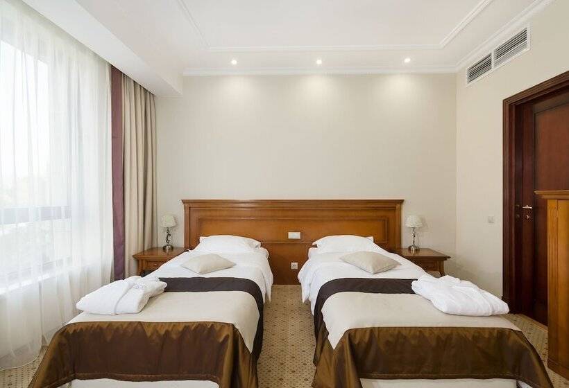 اتاق استاندارد, Zvyozdny Hotel Wellness & Spa