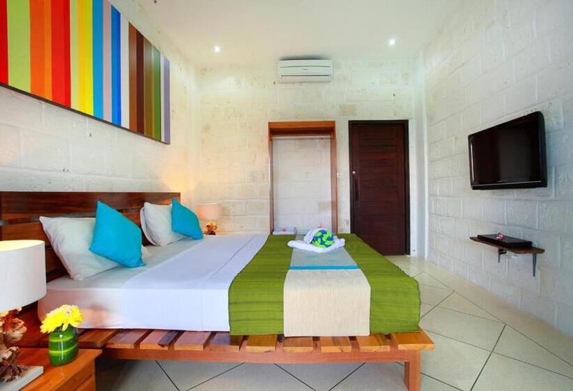 Студия Deluxe, Hill Dance Bali American