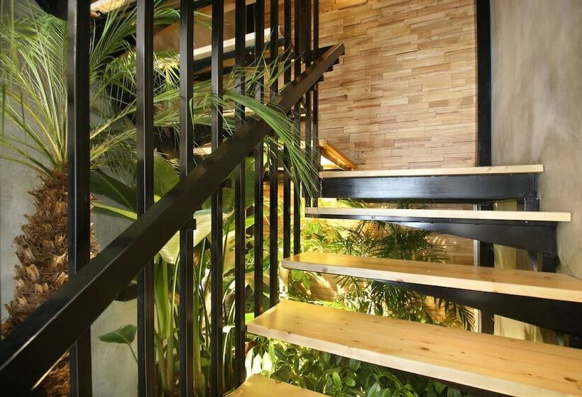 Quarto Estandar, Miju House Jing An