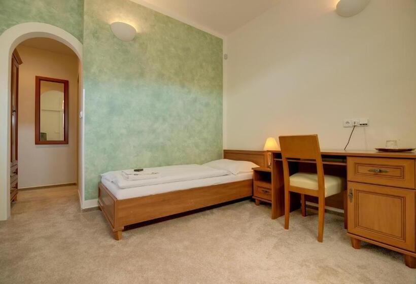 غرفة قياسية فردية, 101 Penzion