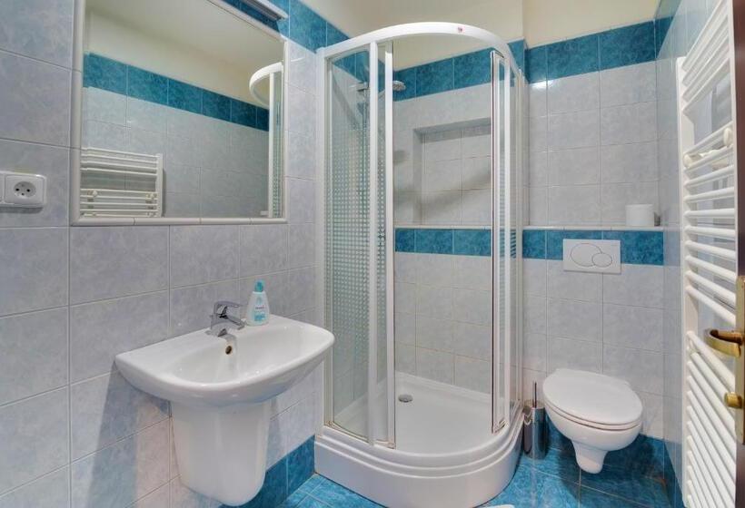 غرفة قياسية, 101 Penzion