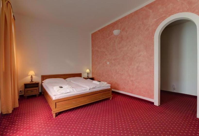 غرفة قياسية, 101 Penzion