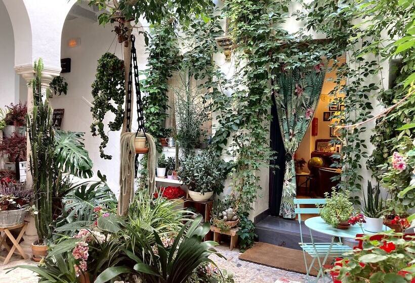 经济房, Casa De Huéspedes Santa Maria