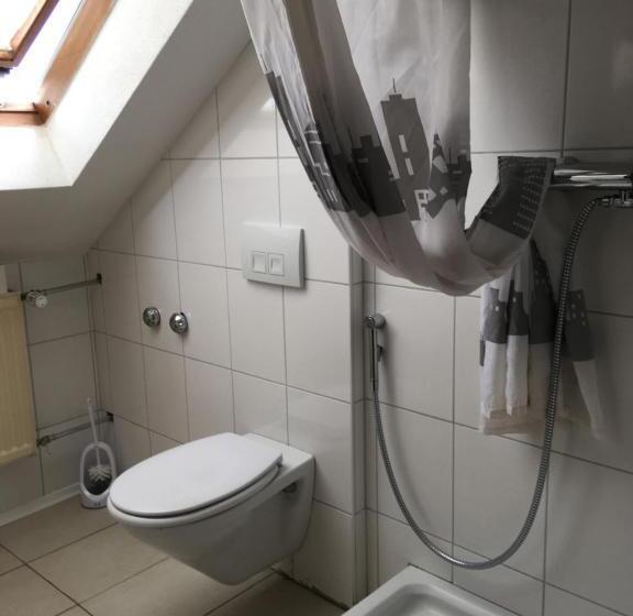 اتاق خانوادگی, Pension Alis Augsburg