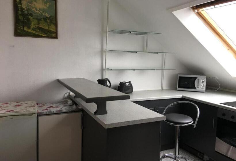 آپارتمان 2 خوابه, Pension Alis Augsburg