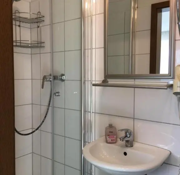 テラス付きスタンダードルーム, Pension Alis Augsburg