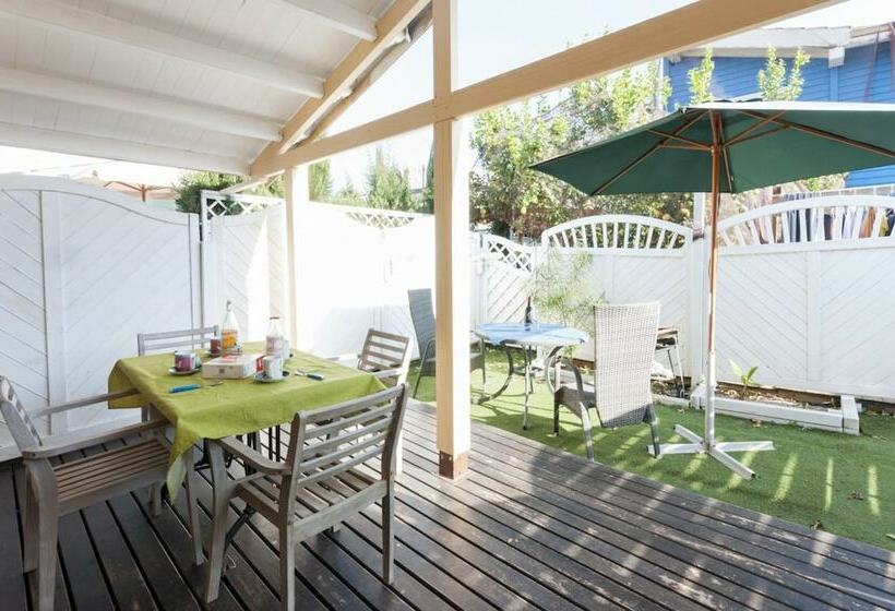 Семейное Студио, Oliwood