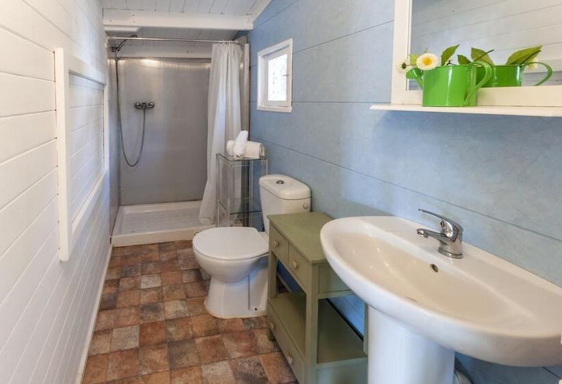 Семейное Студио, Oliwood