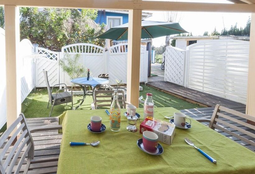 Семейное Студио, Oliwood