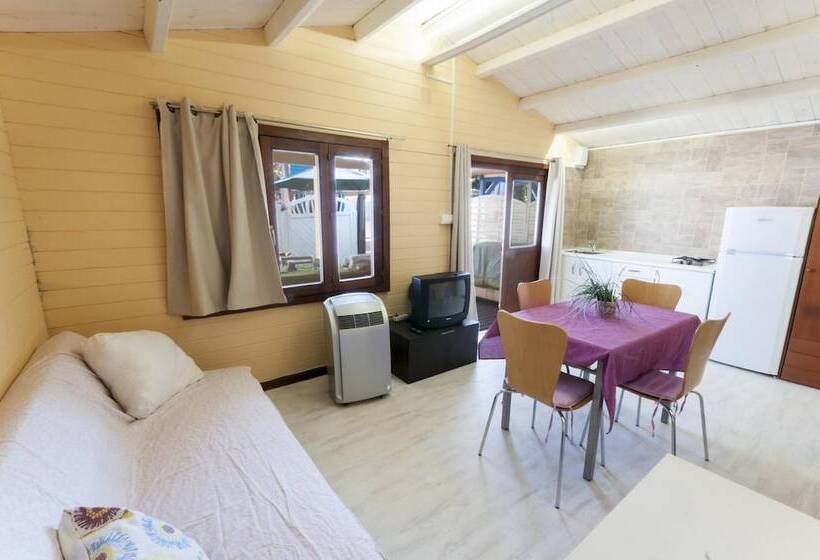 Семейное Студио, Oliwood