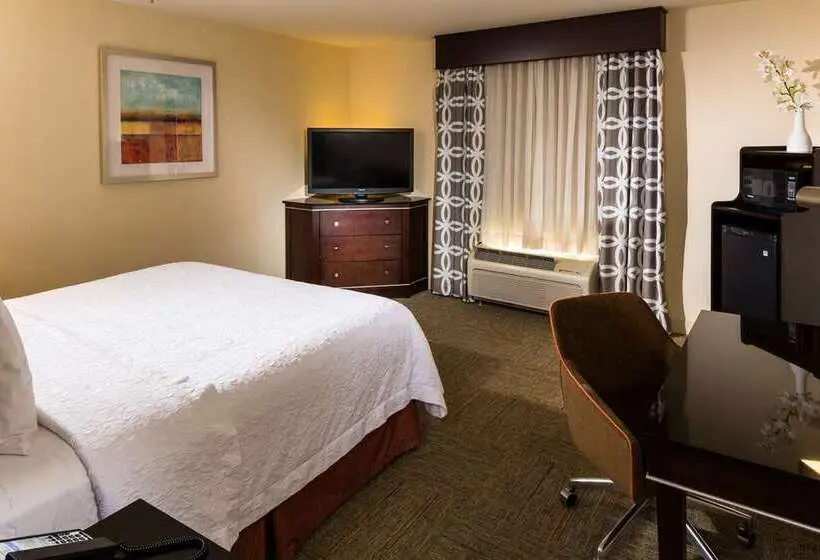キングサイズベッドのスタンダードルーム, Hampton Inn San Marcos, Ca