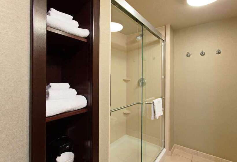 带大床的标准间, Hampton Inn San Marcos, Ca