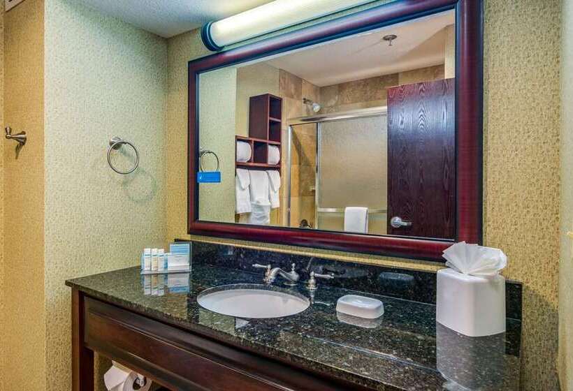 带大床的标准间, Hampton Inn San Marcos, Ca