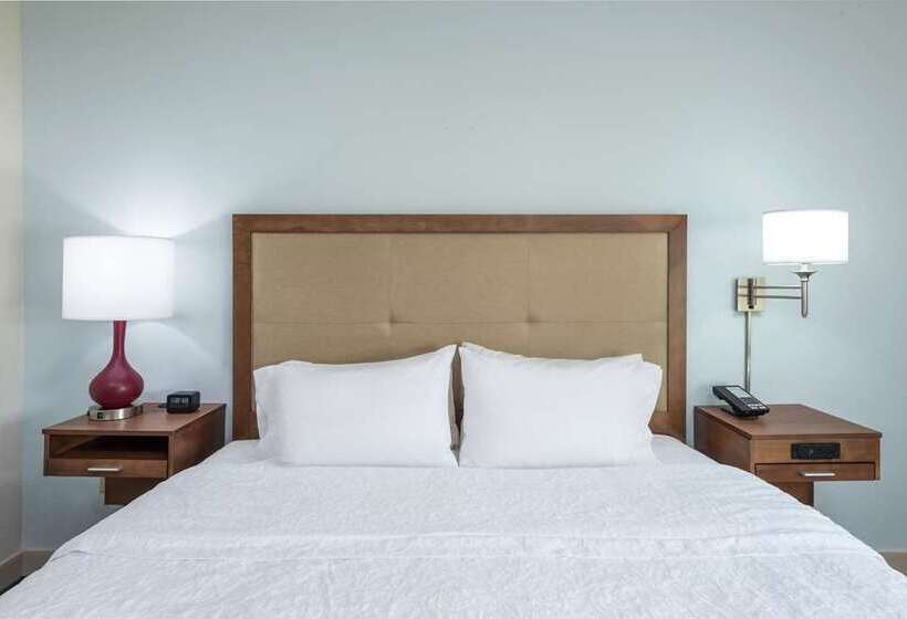 标准工作室, Hampton Inn San Marcos, Ca