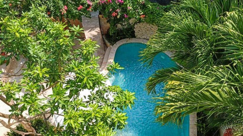 استودیو استاندارد با تخت کینگ, Soraya Yoga Wellness Center