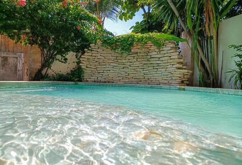 اتاق استاندارد یک نفره, Soraya Yoga Wellness Center