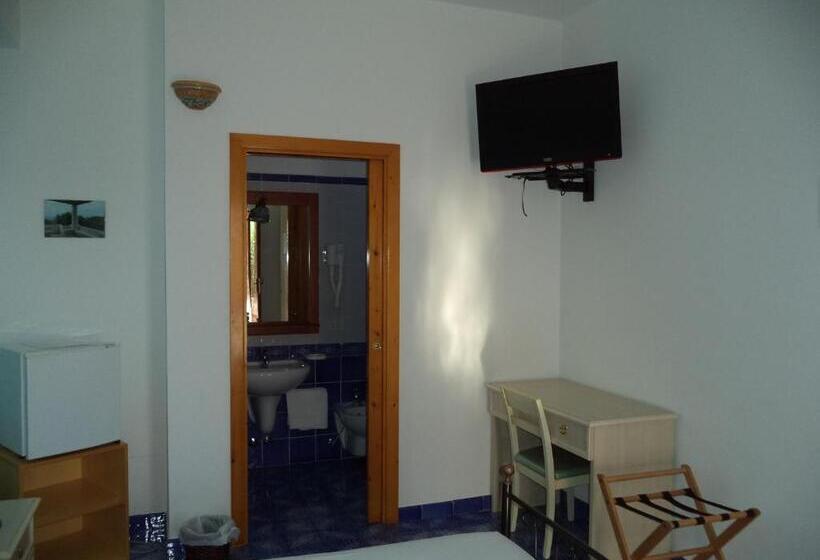 スタンダードルーム, La Sirena