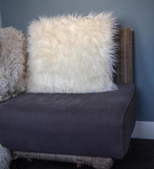 이코노미 싱글 룸, De Roos Leeuwarden