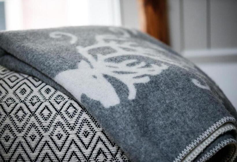 Одноместный Номер Basic, De Roos Leeuwarden